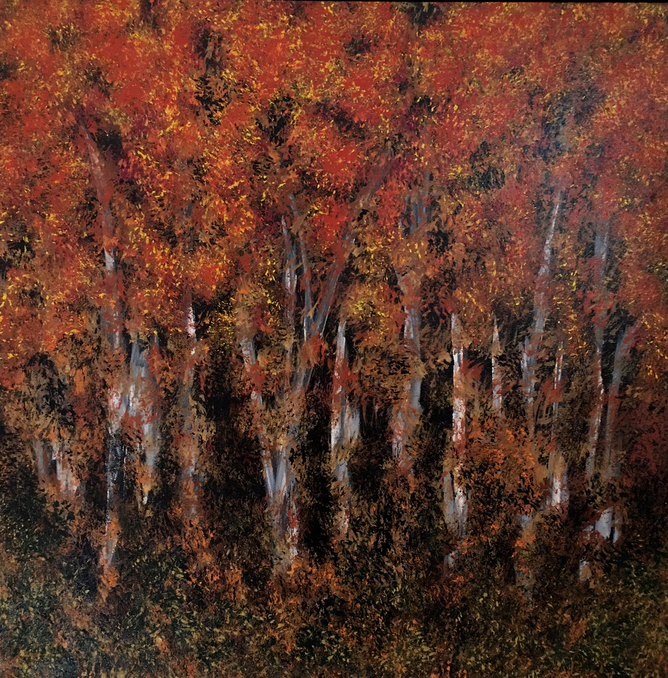 Wild Sycamores