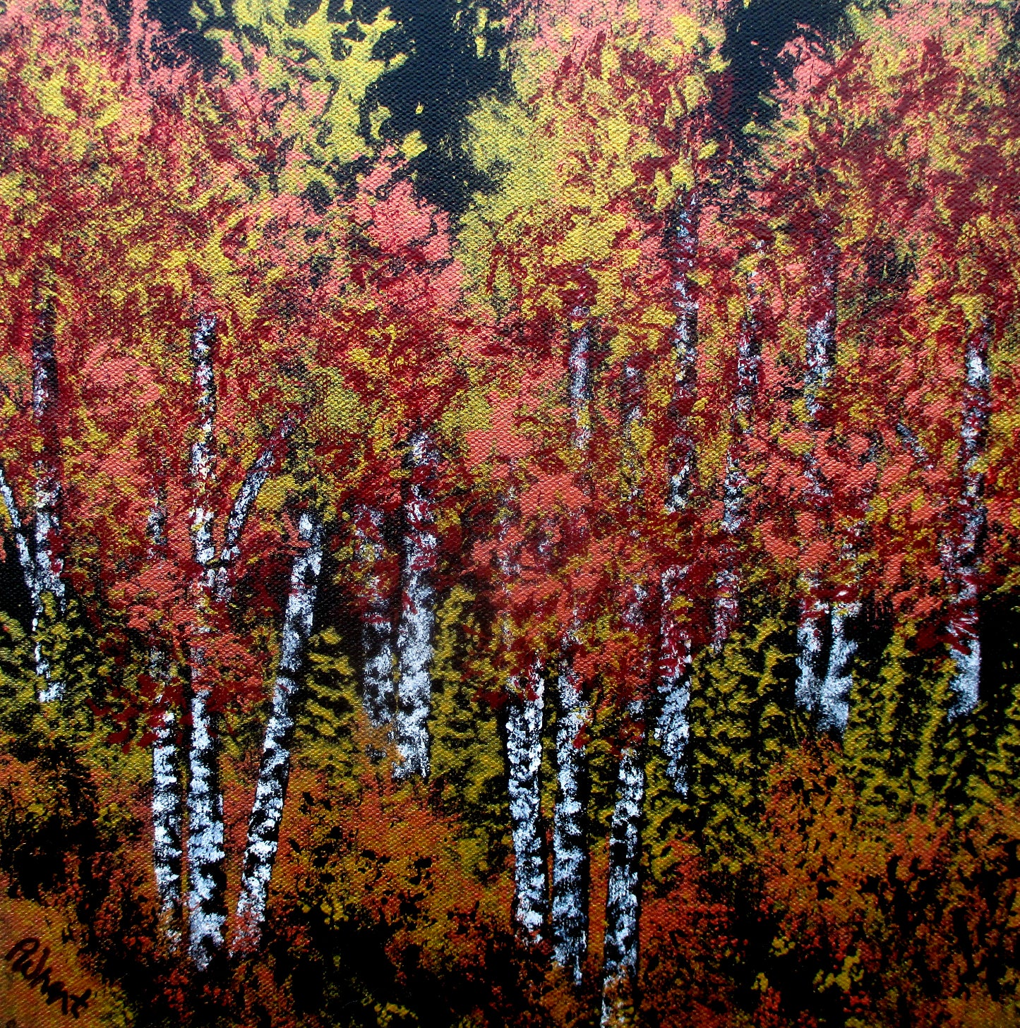 Foothill Aspen