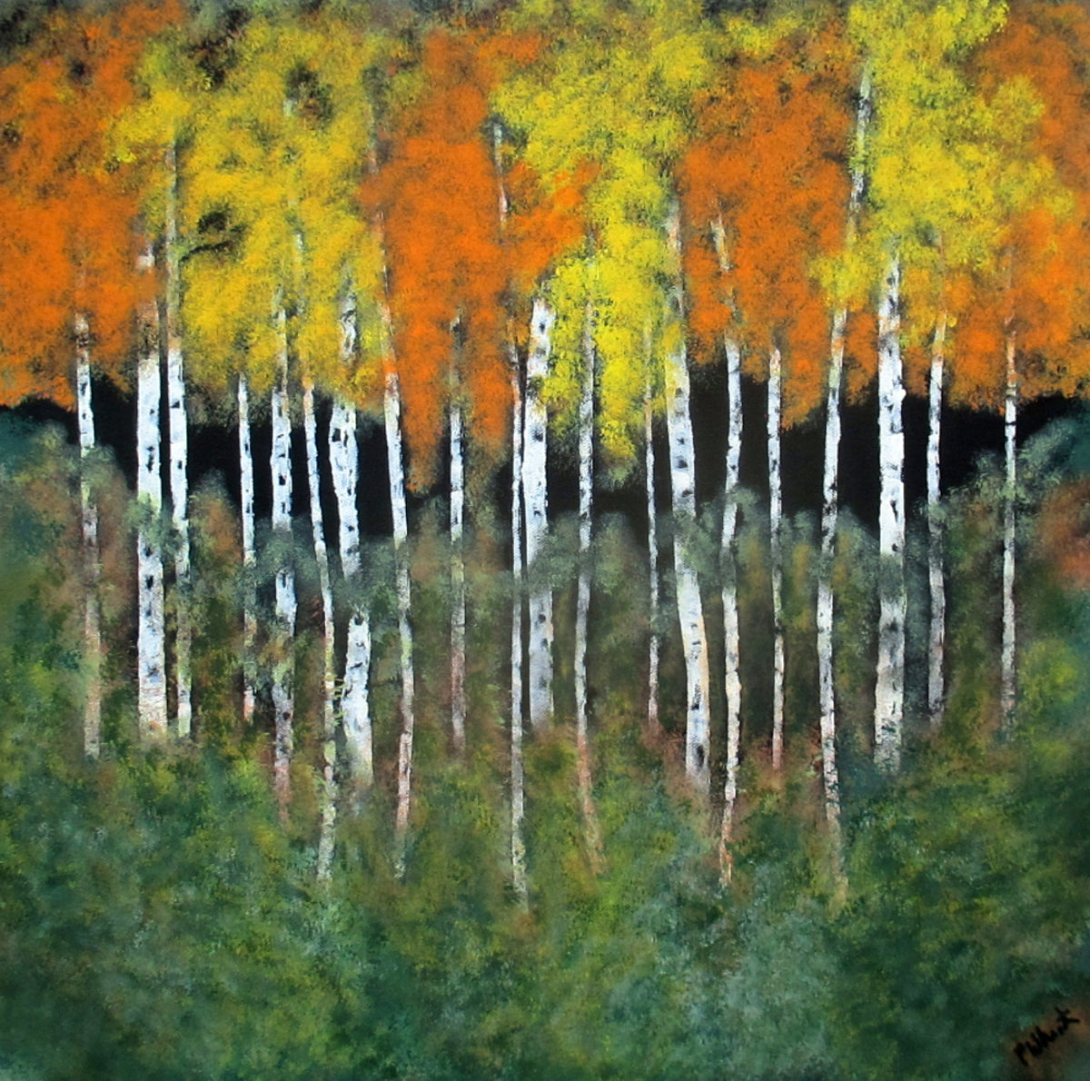 Thicket