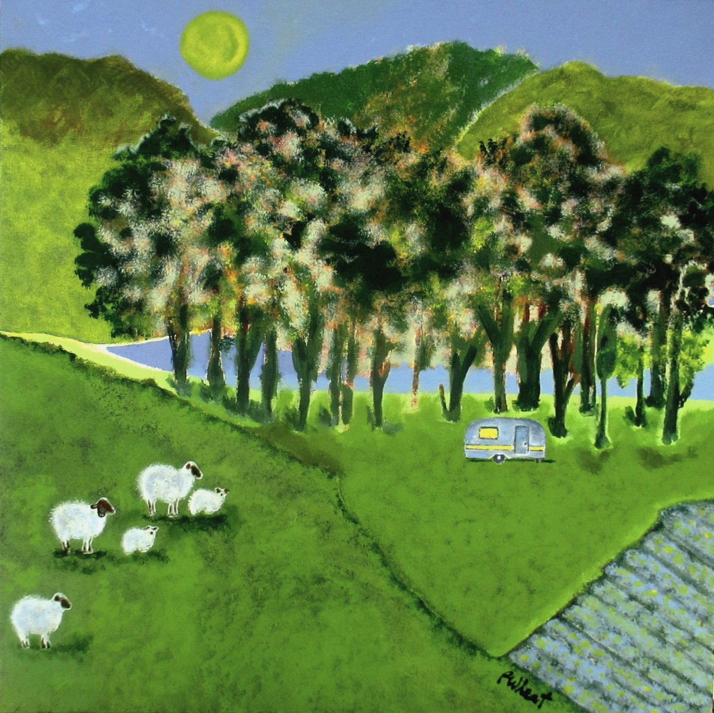 Campsite