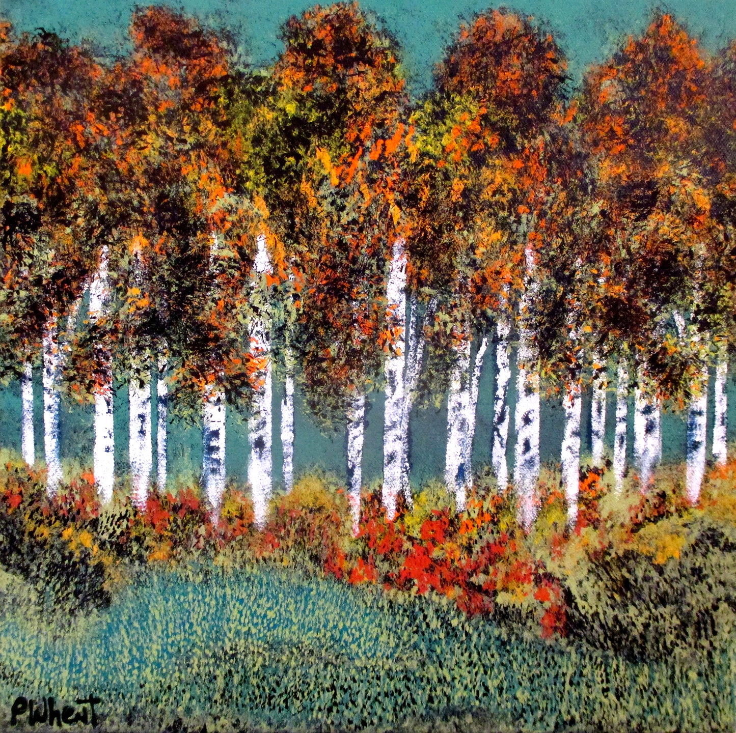 Walk In The Woods