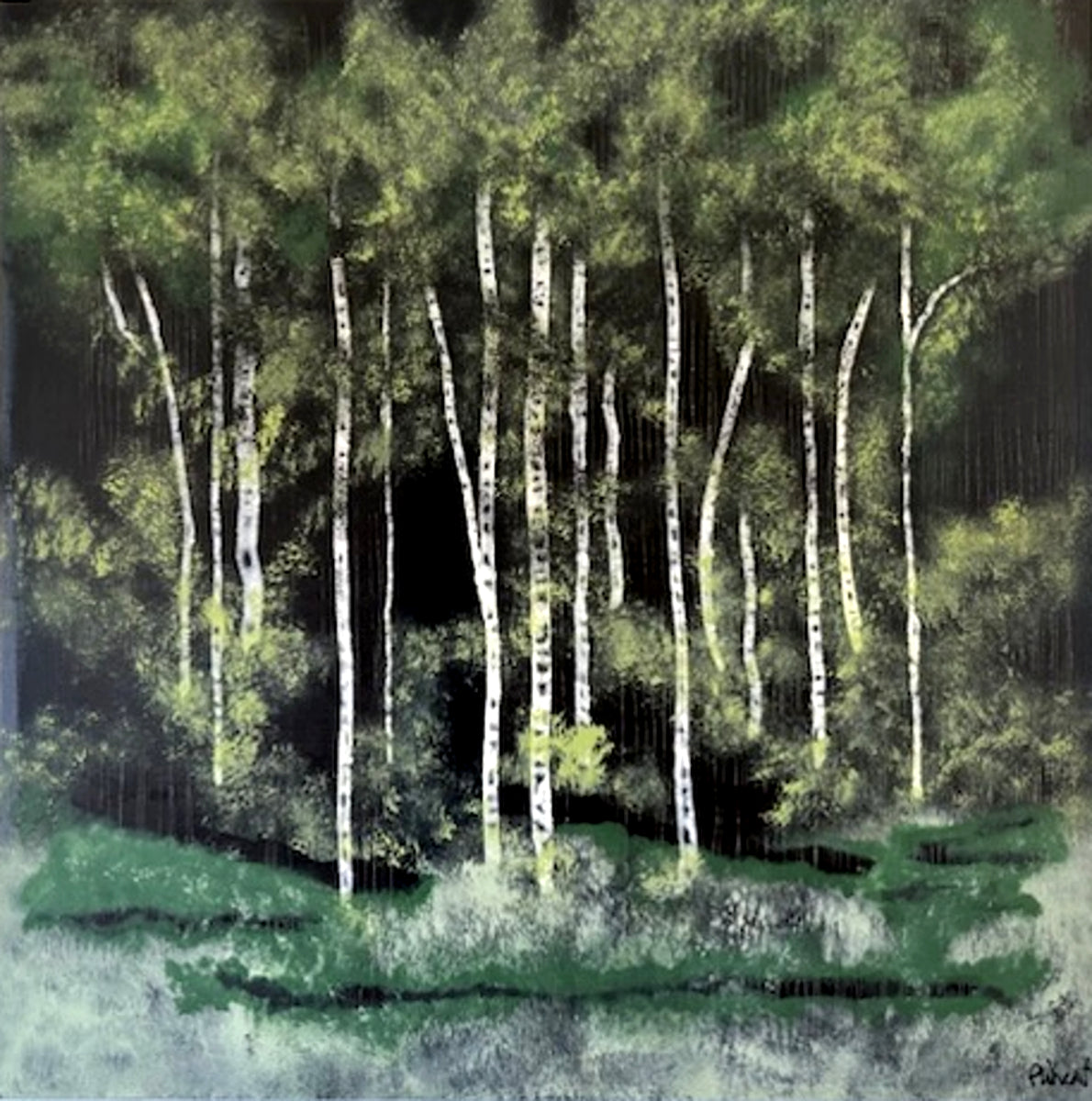 Rainforest