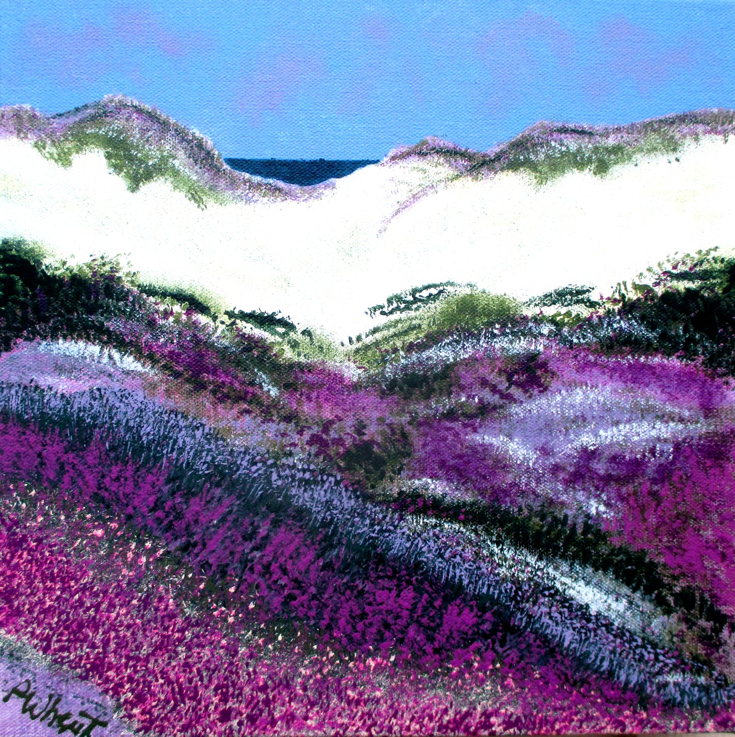 Asilomar Dunes II