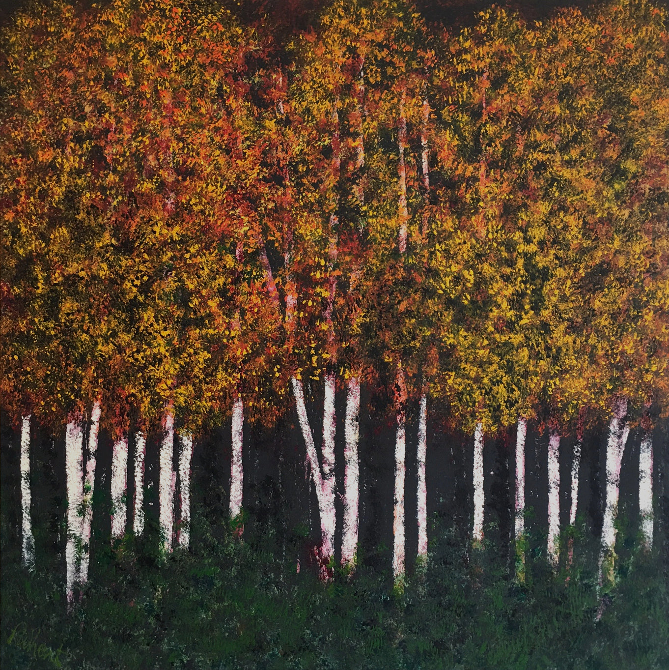 Sycamores At Sunset