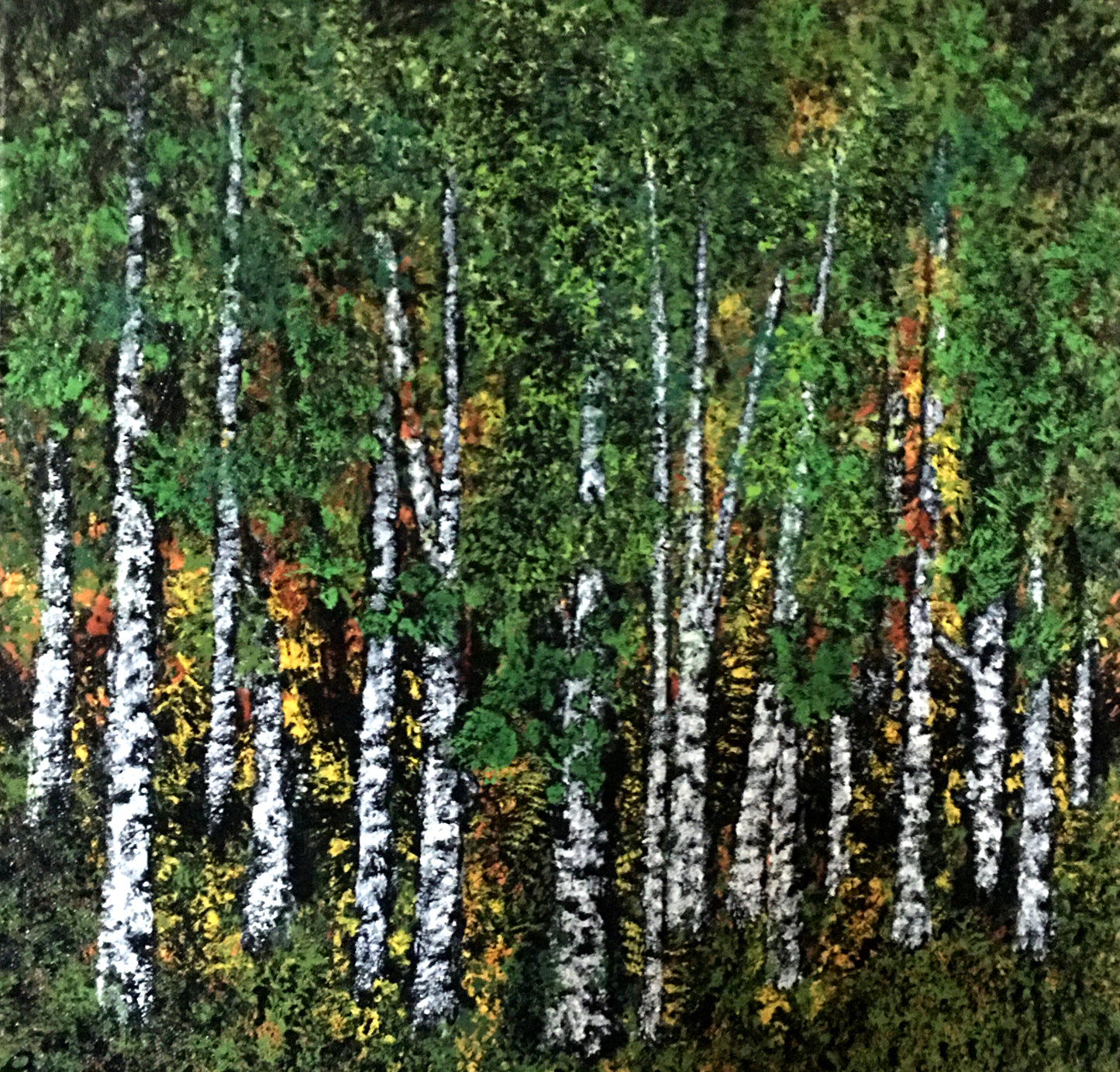 Forest Walk