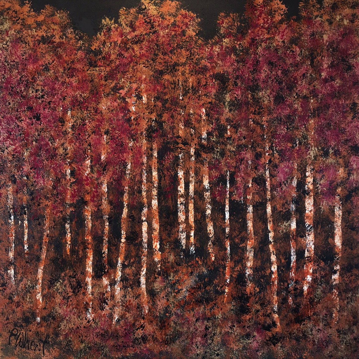 Sycamores At Dusk