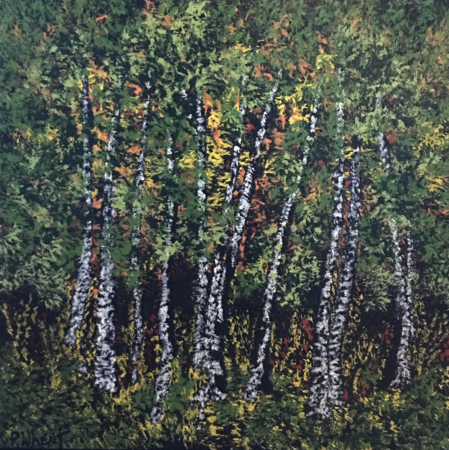 Through The Forest