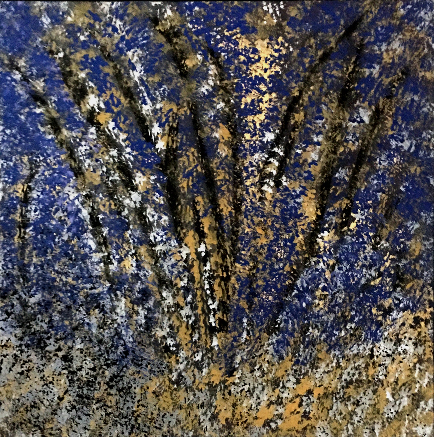 Wild Lupine