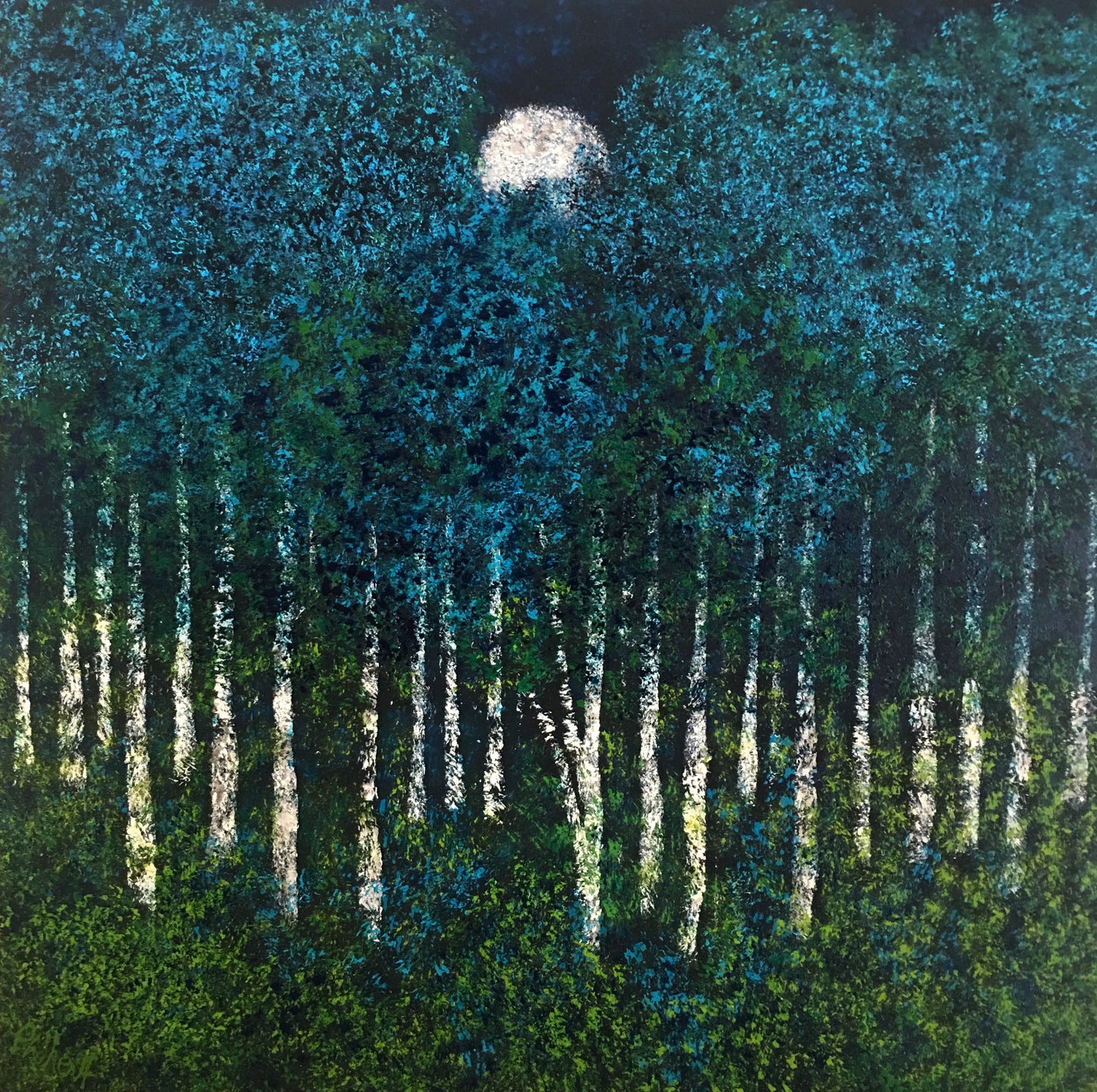 Blue Sycamores