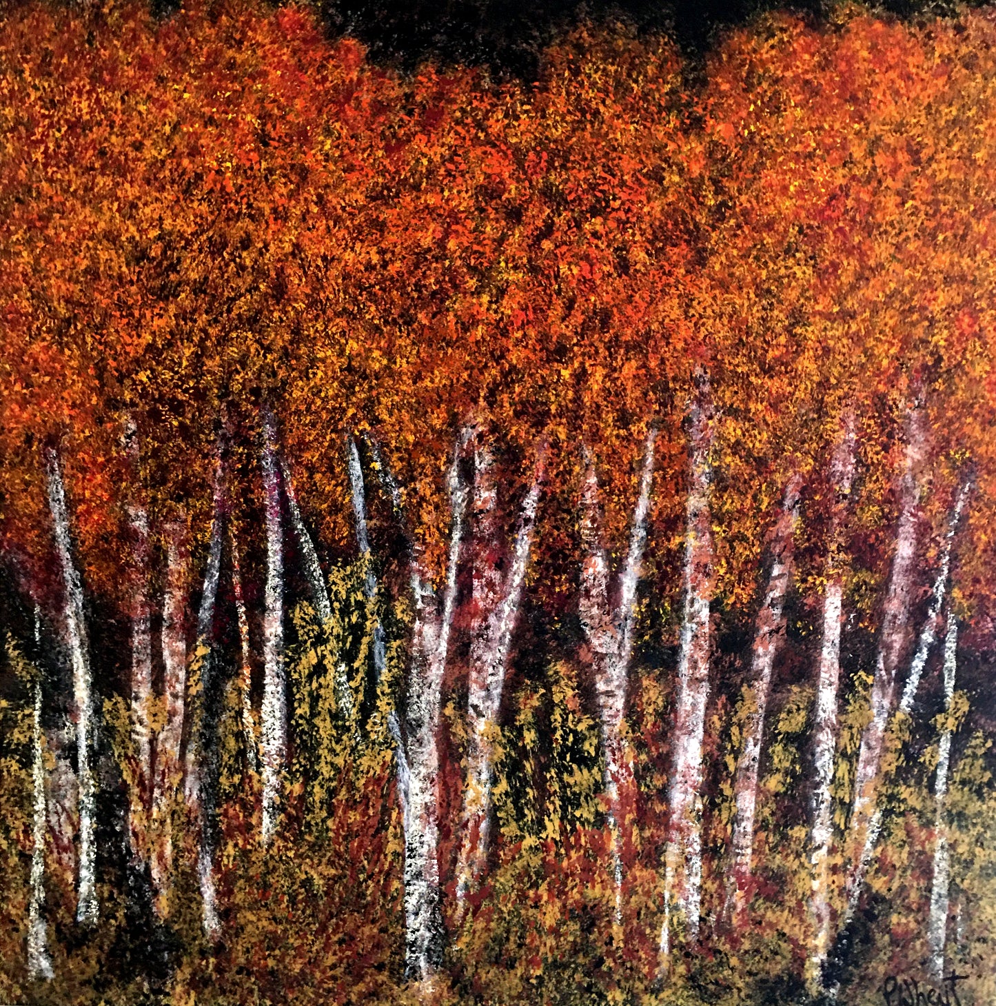Carmel Valley Sycamores