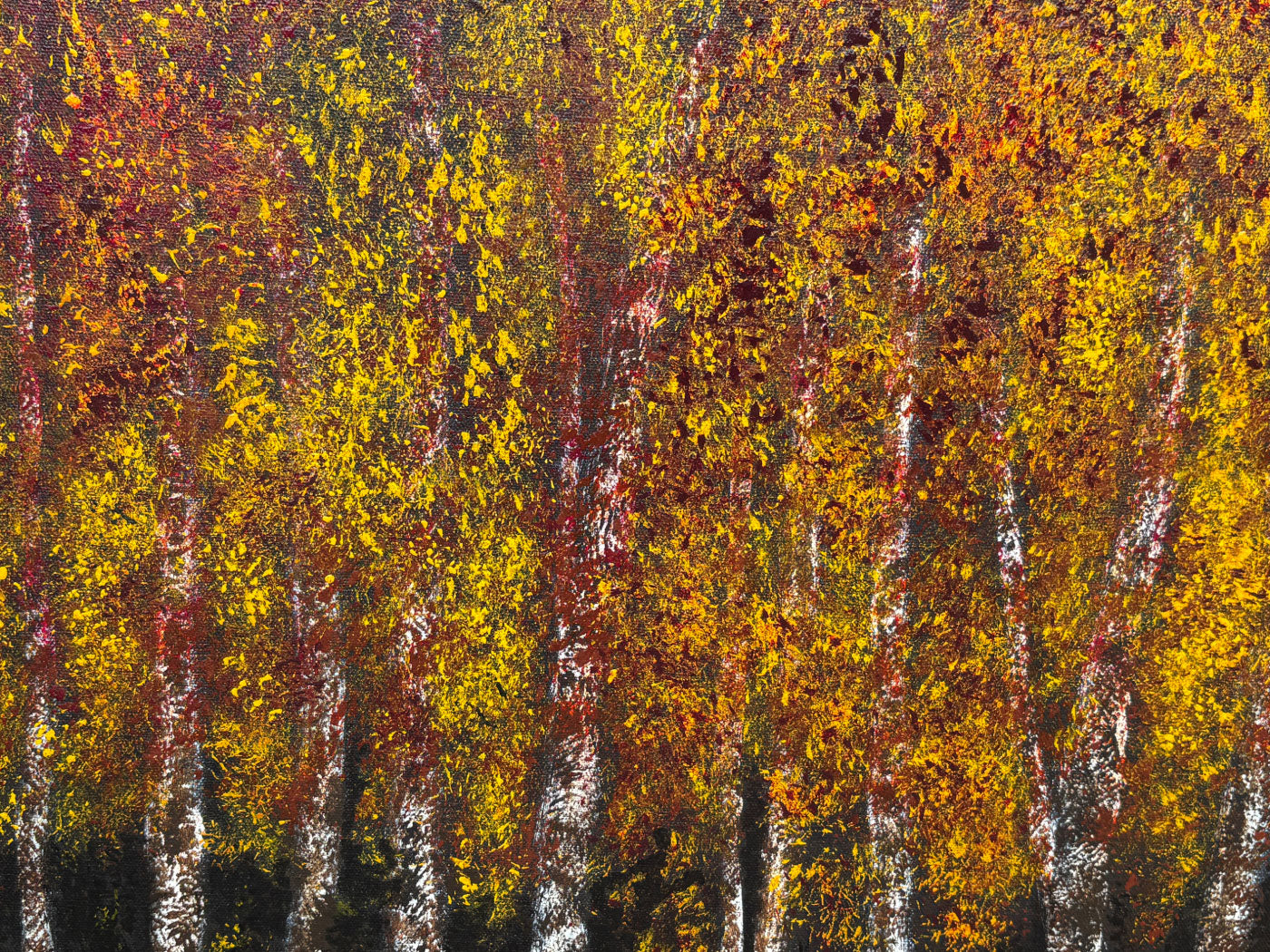 Fall Sycamores