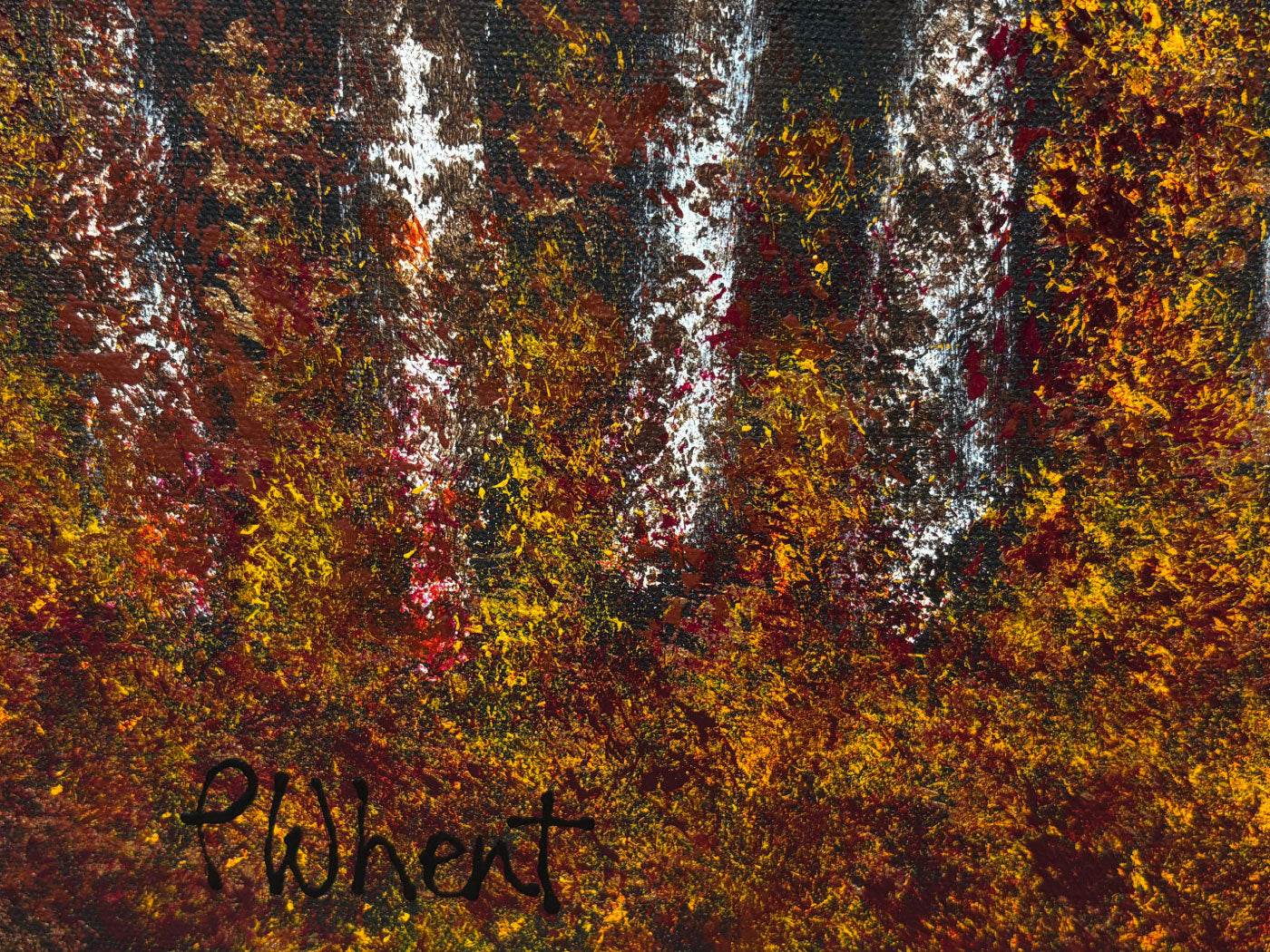 Fall Sycamores
