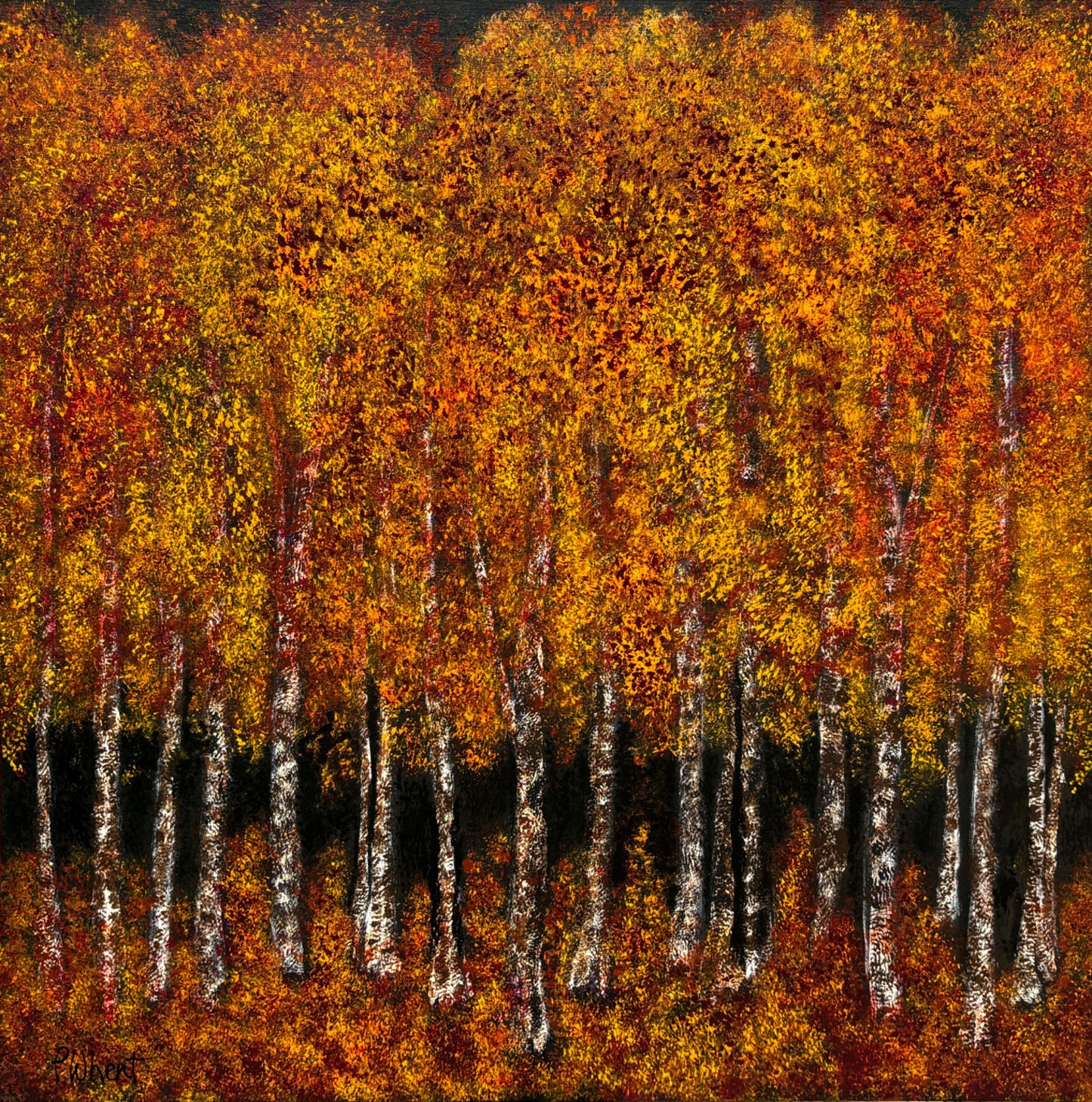 Fall Sycamores