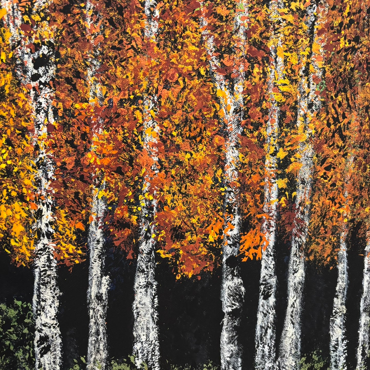Autumn Sycamores
