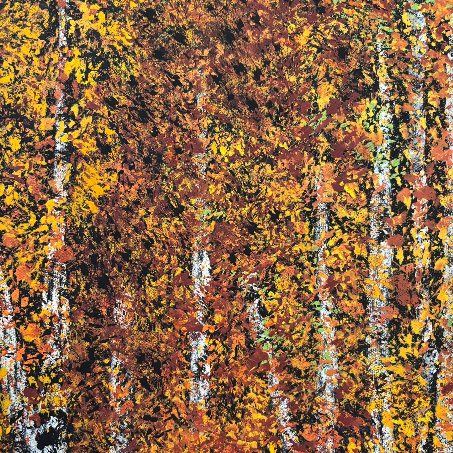 Autumn Sycamores